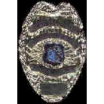 STOCKTON, CA POLICE DEPARMENT BADGE PIN